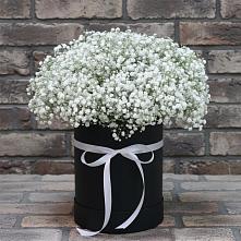 Цветочная композиция из Гипсофила в шляпной коробке в Кожино